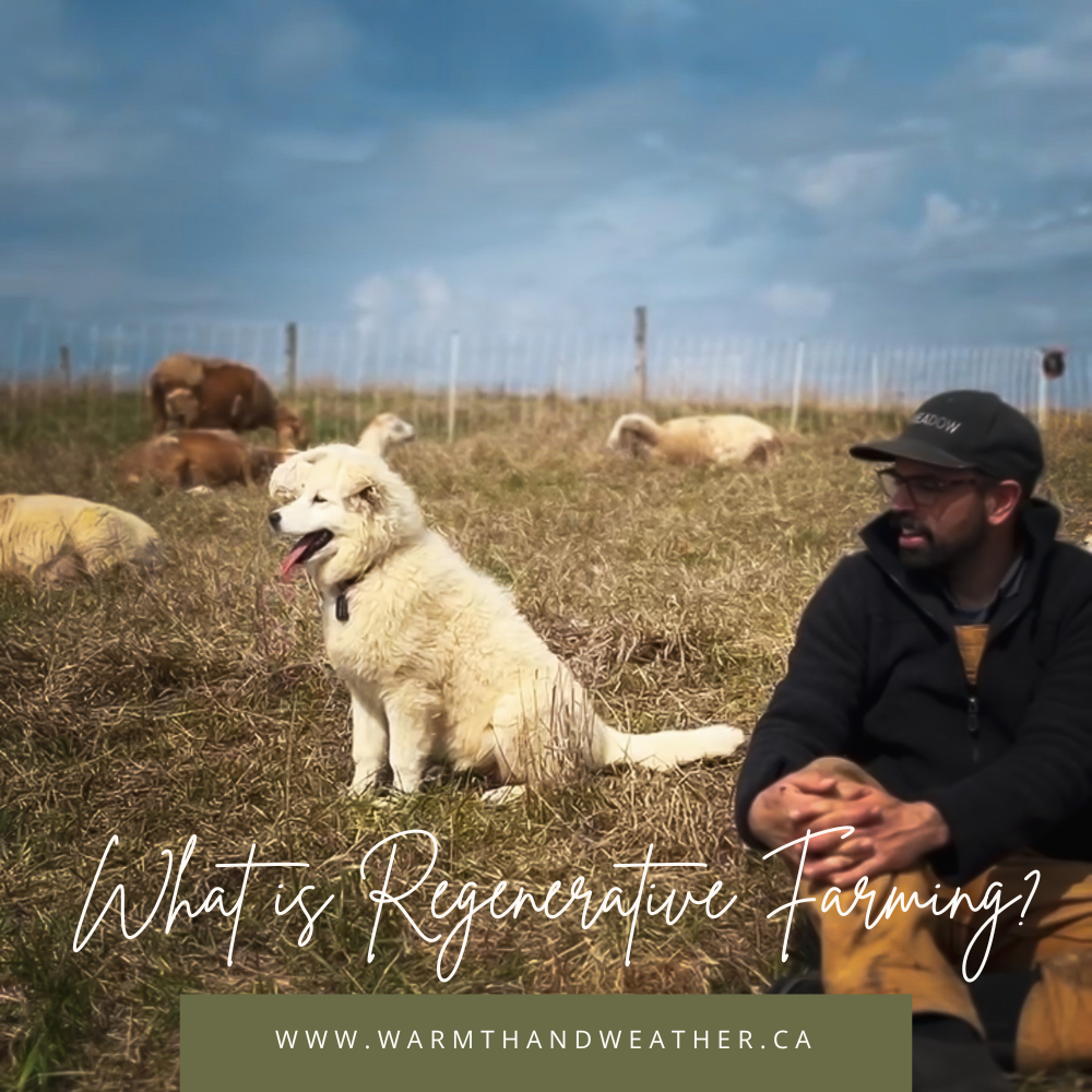 Regenerative Farming