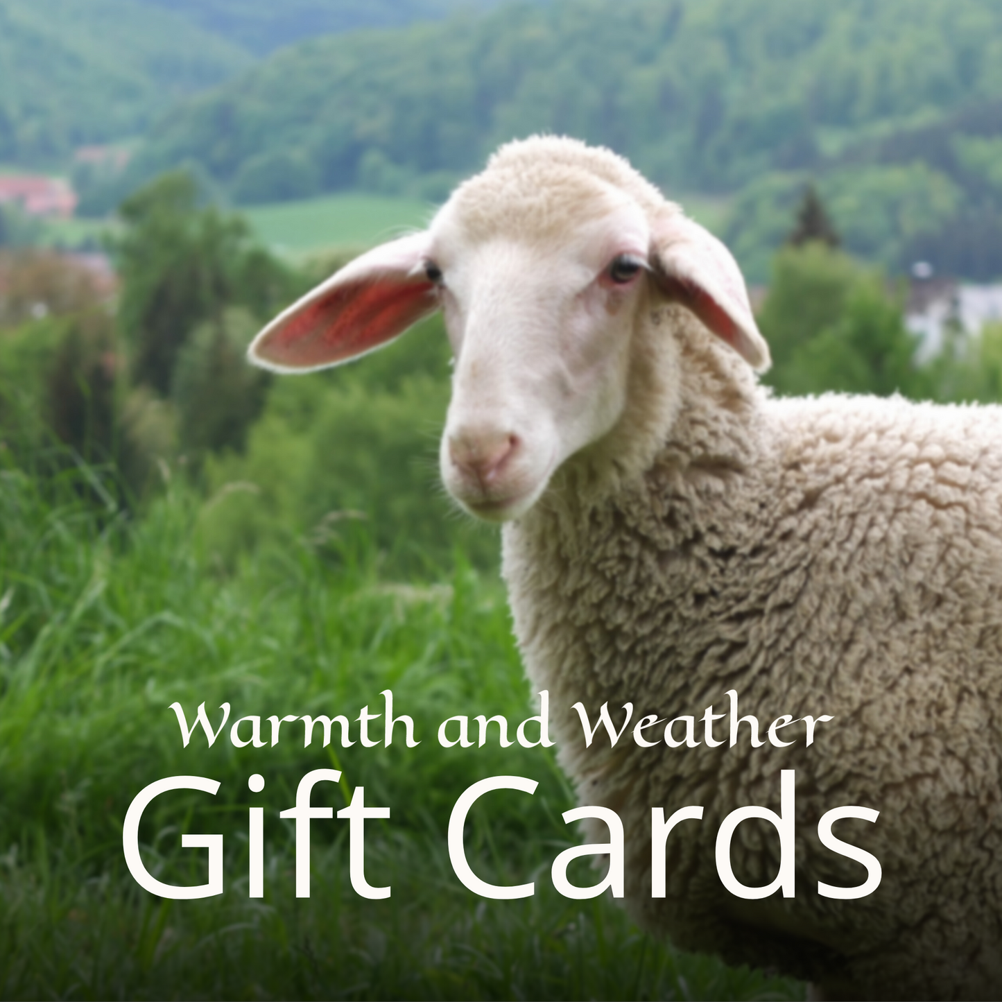 Gift Cards