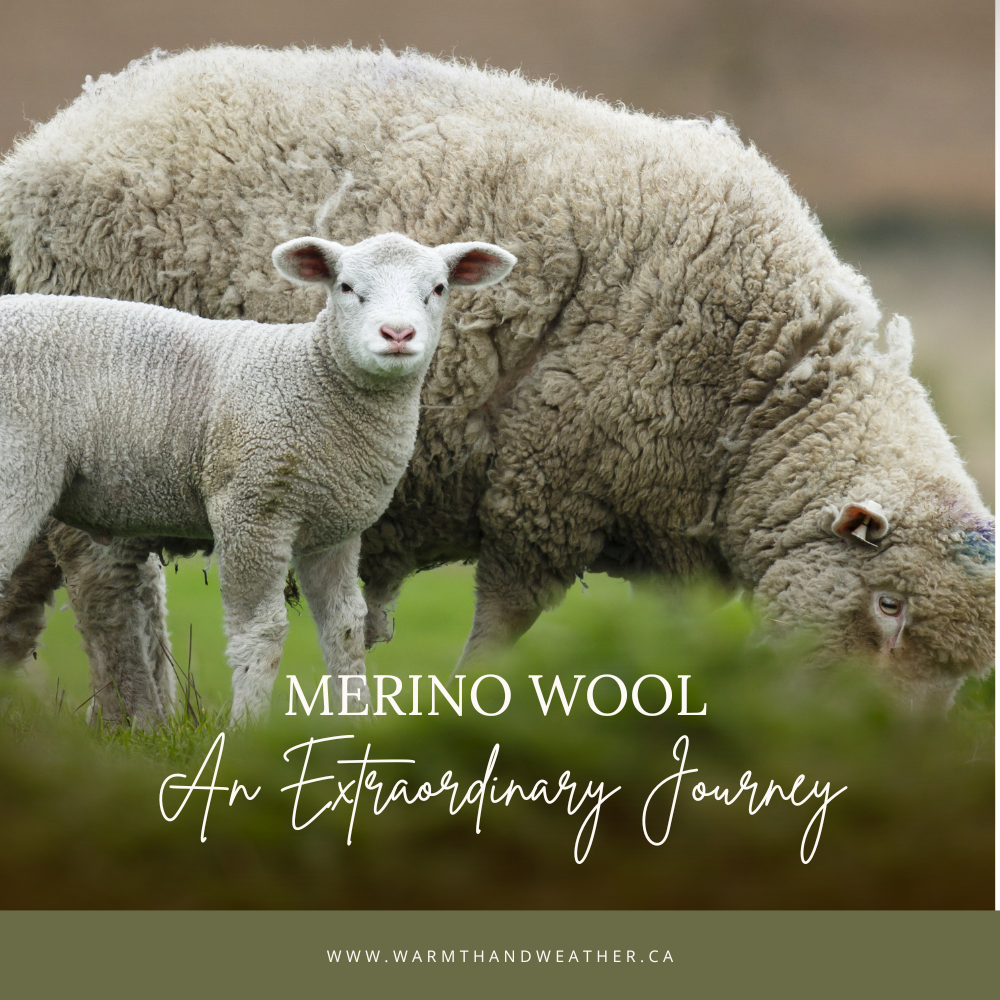 Why Organic Merino Wool Matters – Warmth and Weather