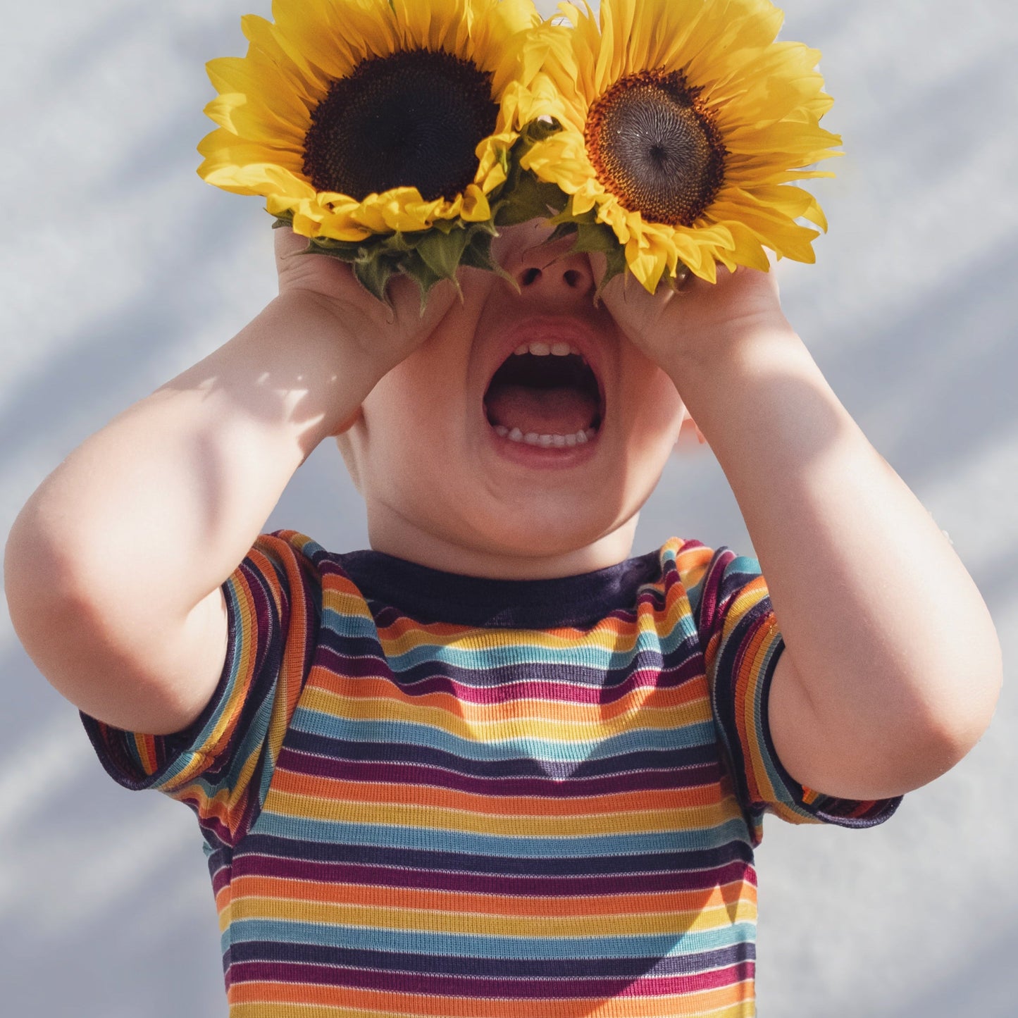 A young child wearing a colorful rainbow-striped t-shirt holds two large yellow sunflowers in front of their eyes like binoculars, with their mouth open in a joyful expression. The background is a soft-focus light gray wall with natural shadows.
