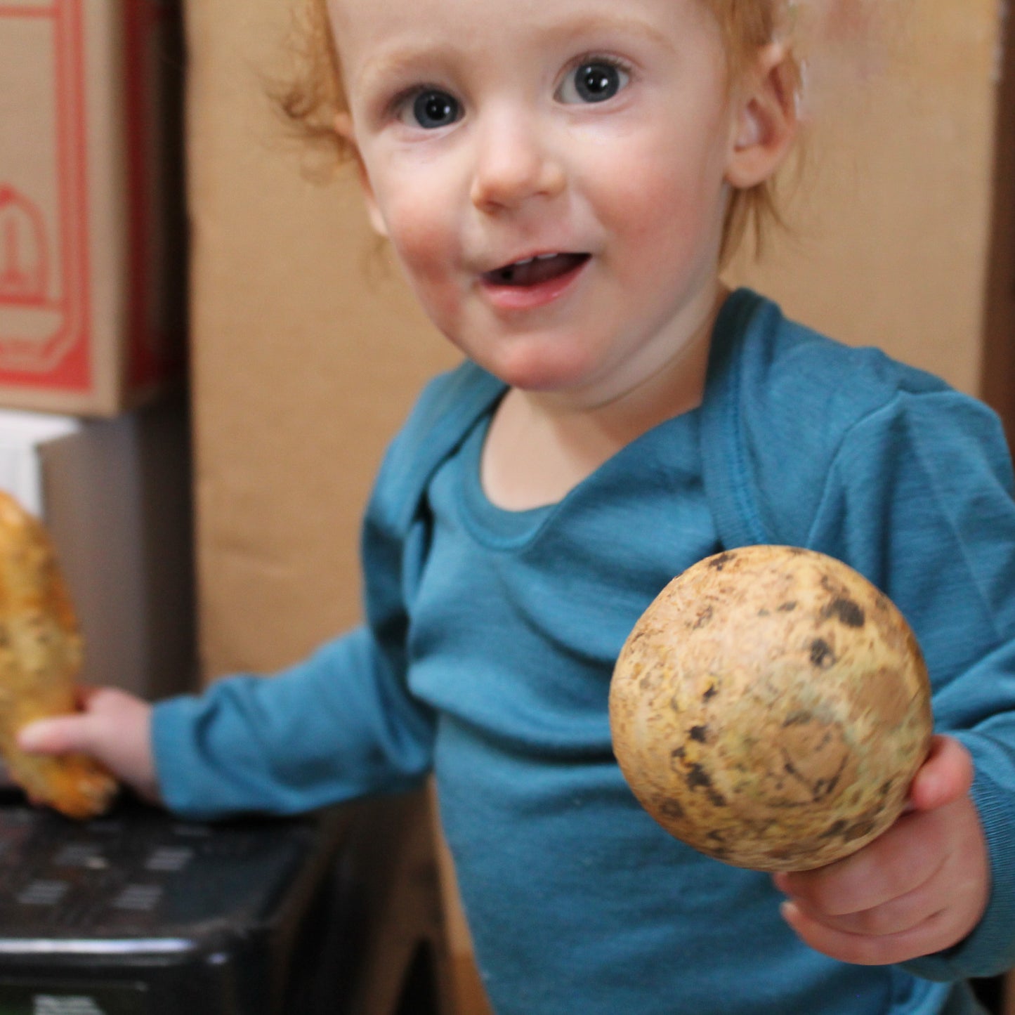 Hocosa Baby/Toddler Onesie Long Sleeve, Wool/Silk, Sea Blue and Blue Jean