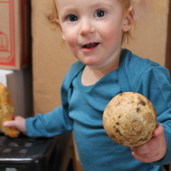 Hocosa Baby/Toddler Onesie Long Sleeve, Wool/Silk, Sea Blue and Blue Jean